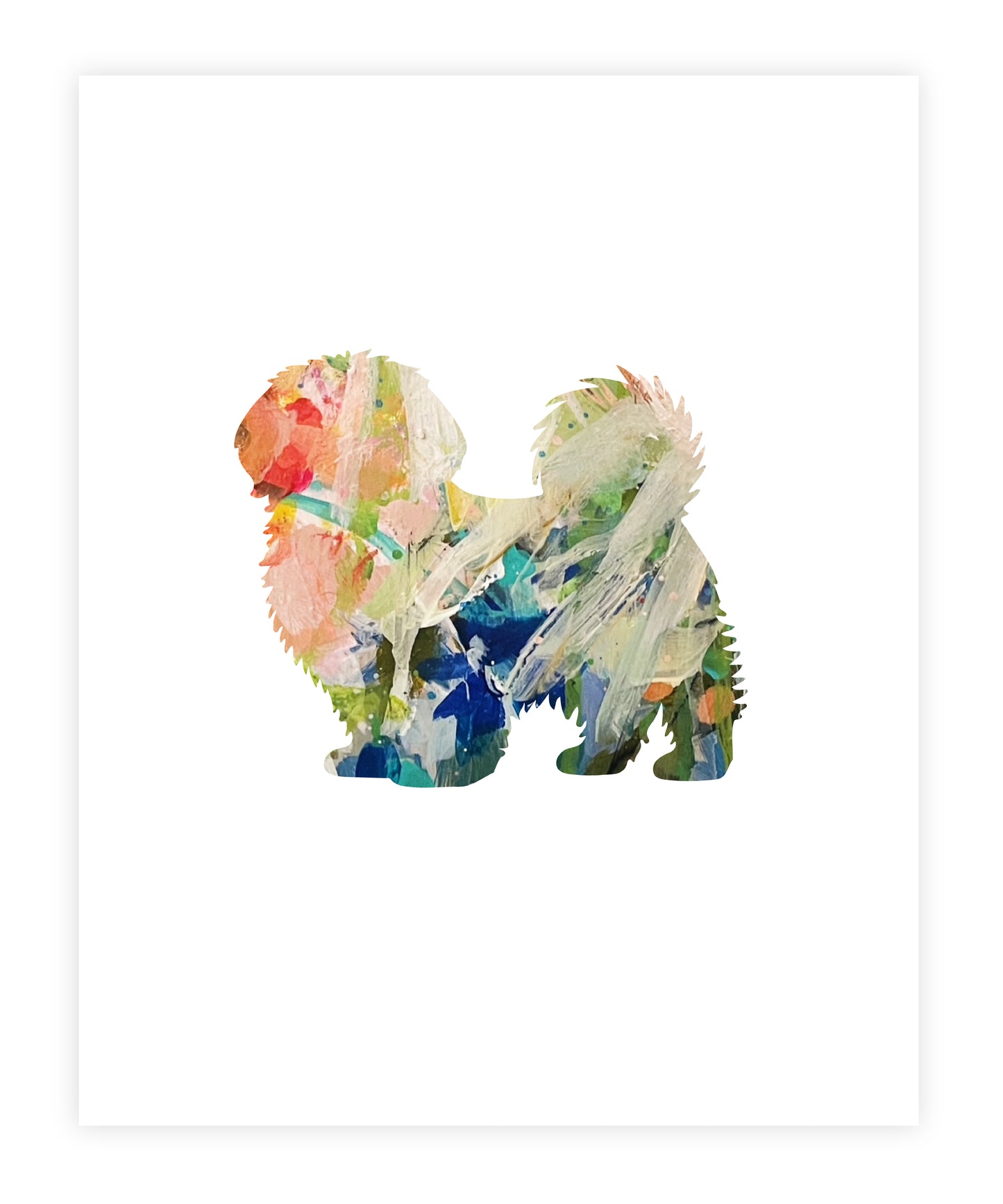Shih Tzu
