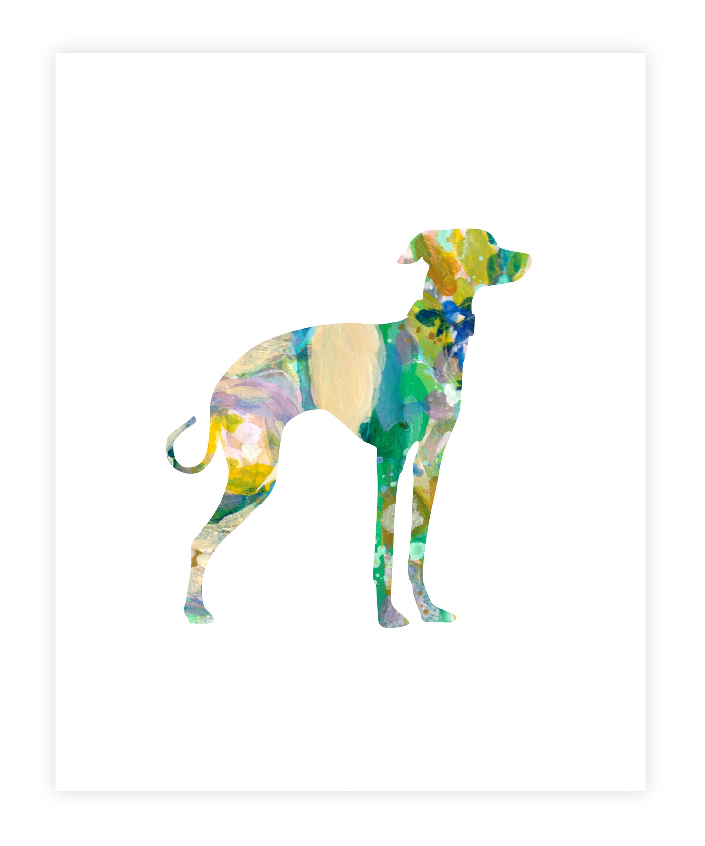 Greyhound