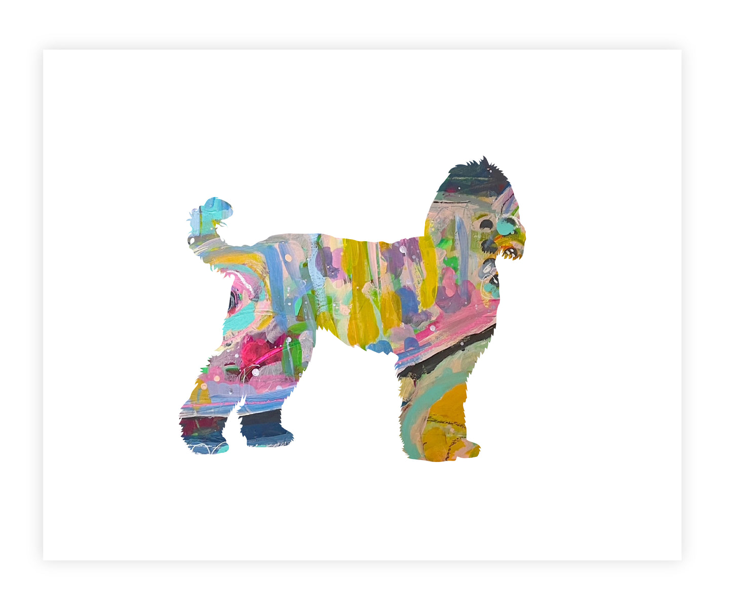 Portuguese Water Dog