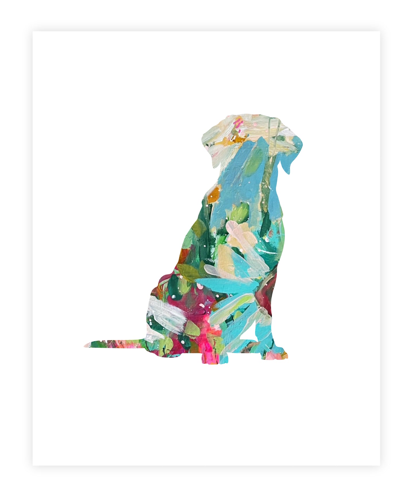 Labrador Retriever